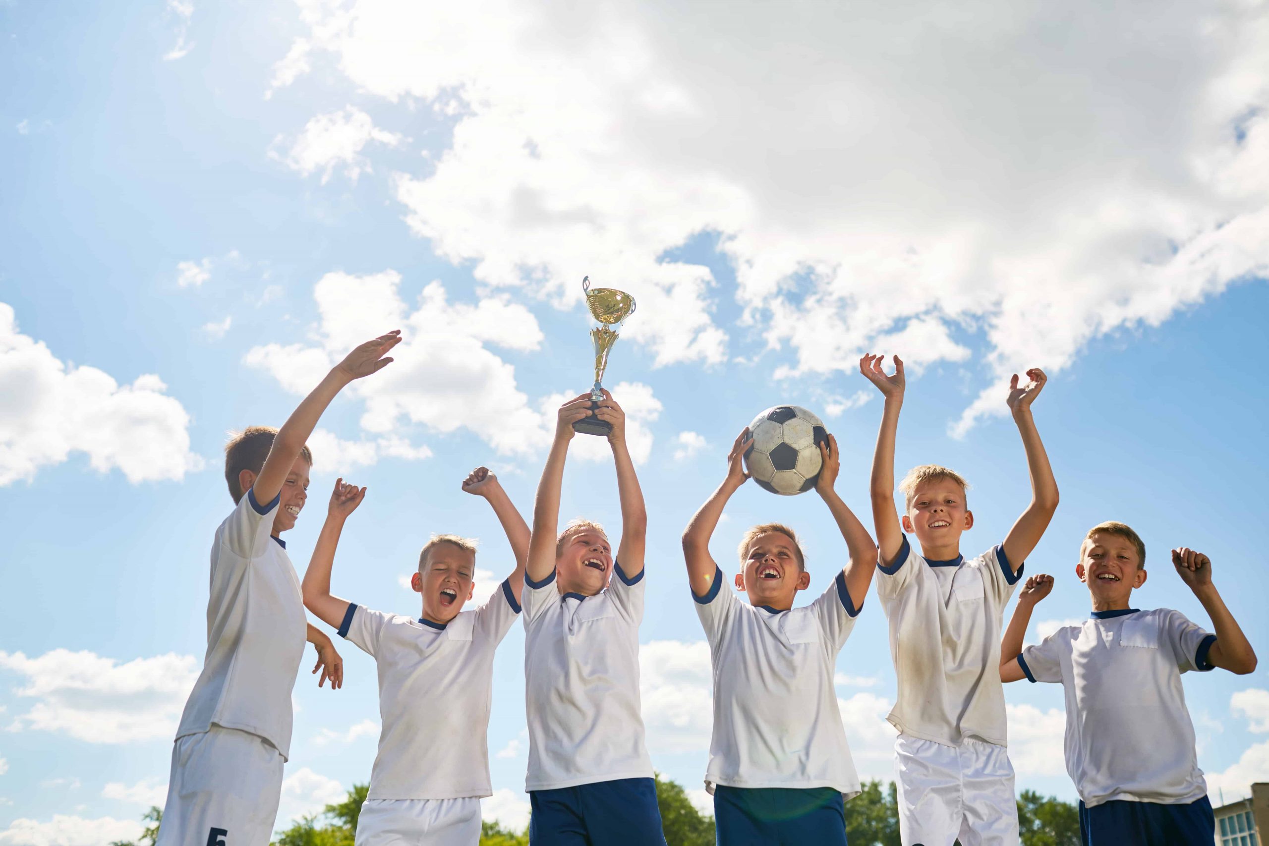 solar panels for sports clubs